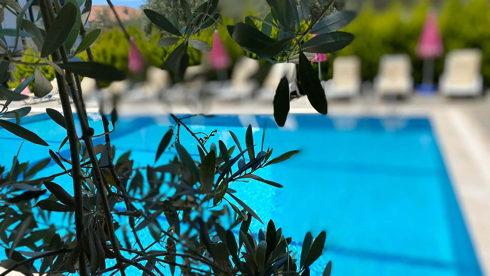 Doga Hotel Ölüdeniz