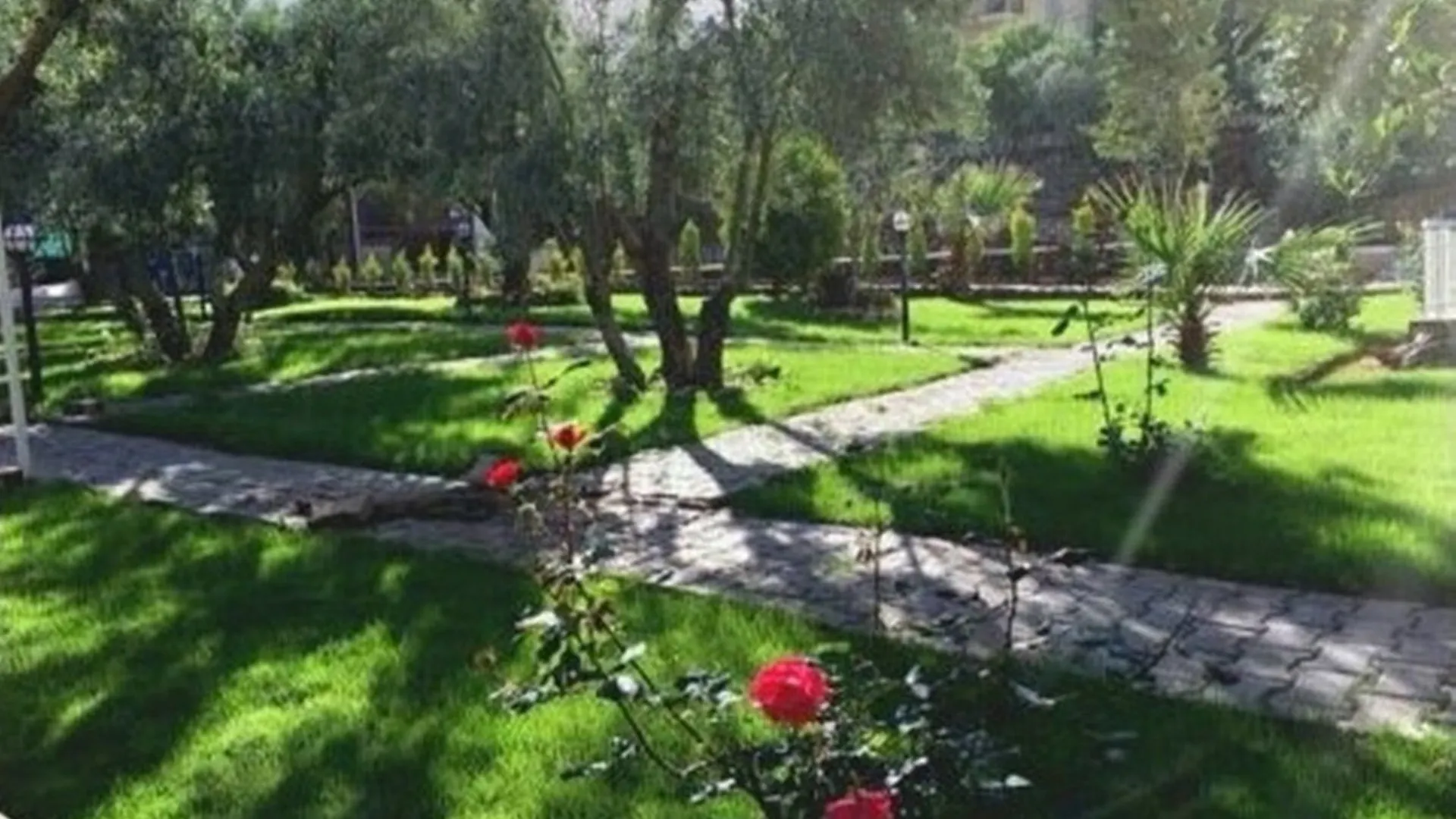Doga Hotel Ölüdeniz